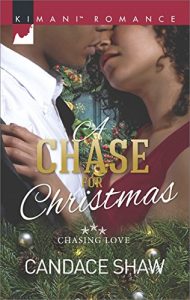 a-chase-for-christmas